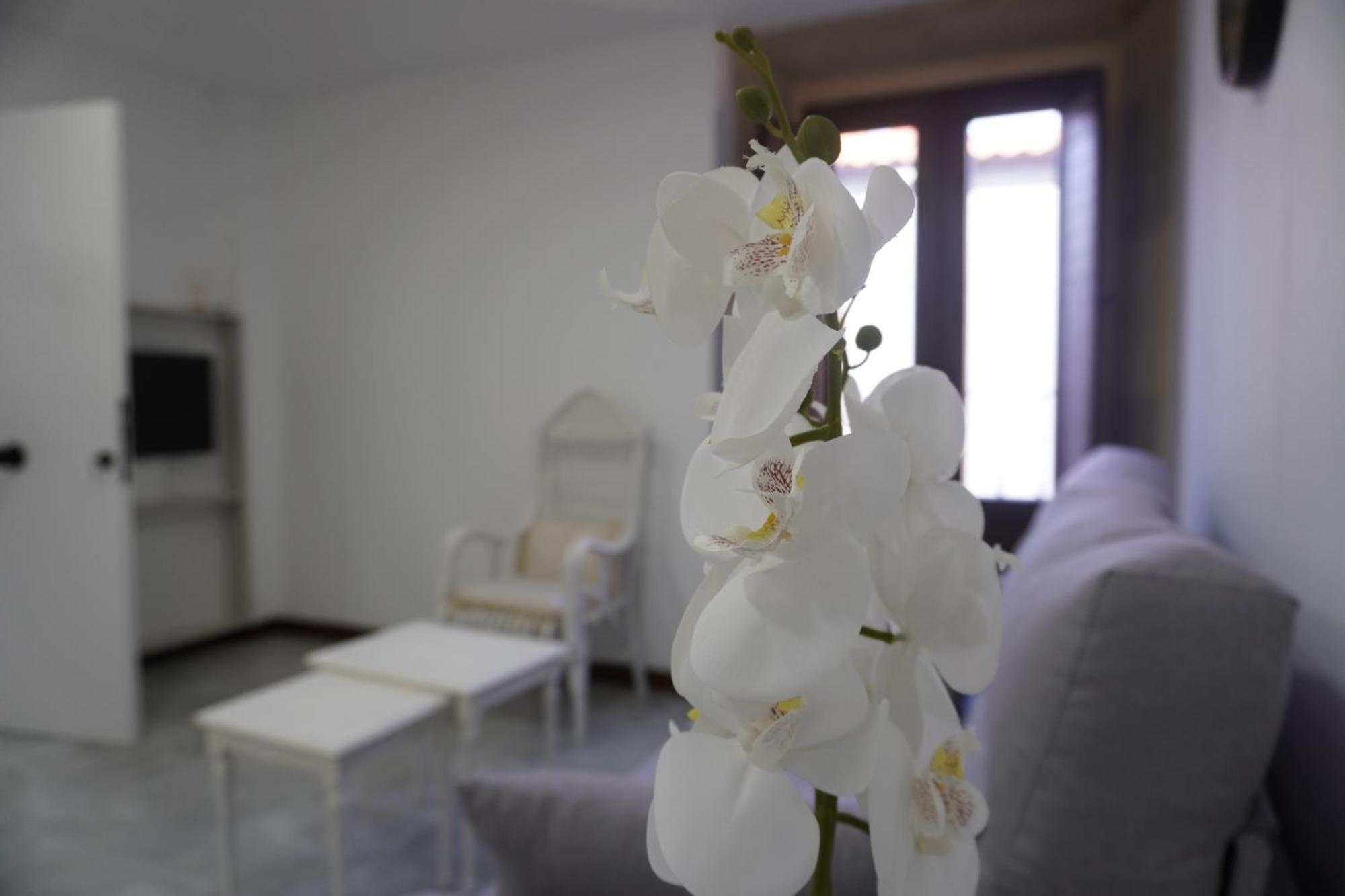Apartamento Sanin 3 Lumbrales Exterior foto