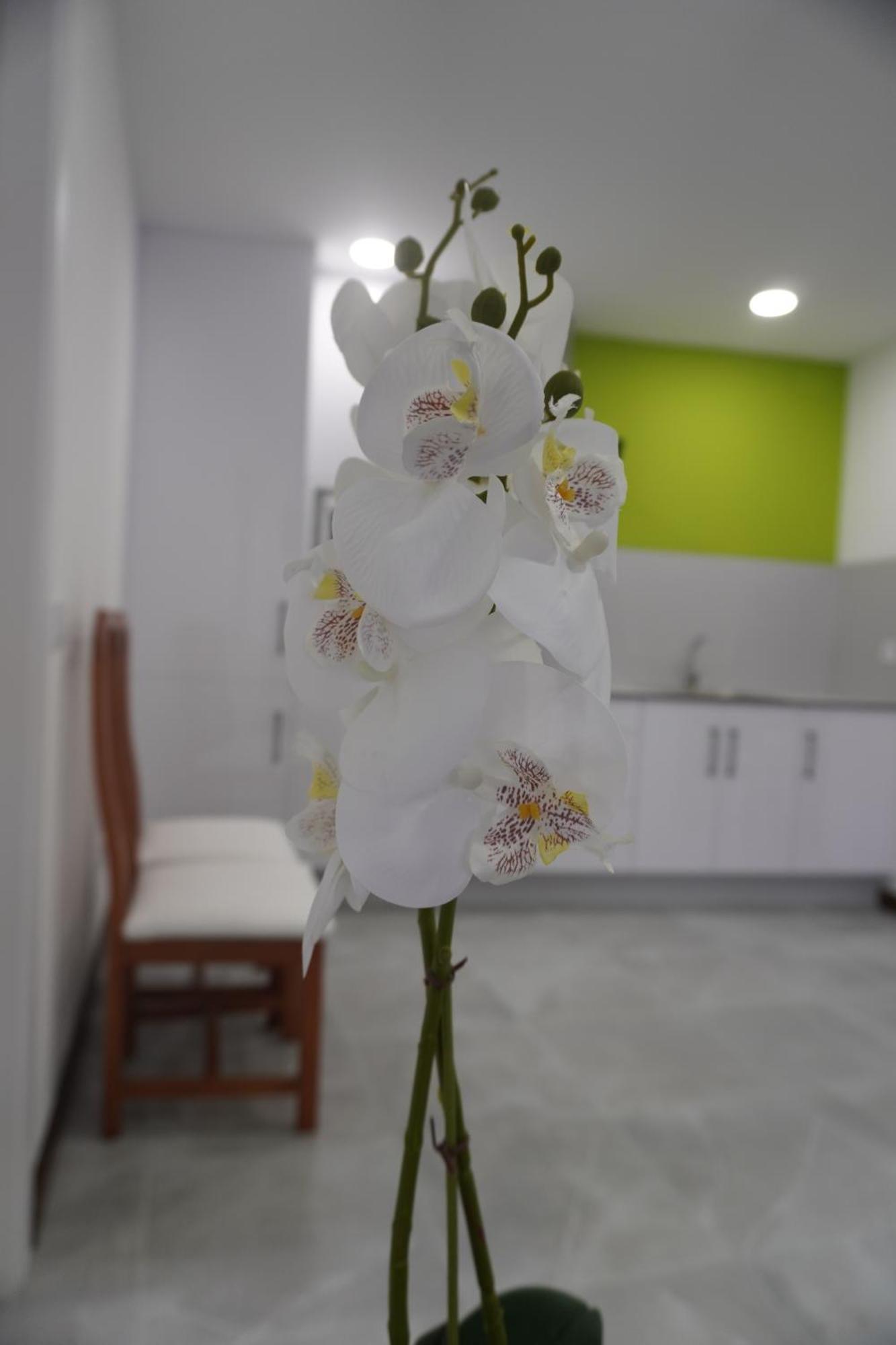 Apartamento Sanin 3 Lumbrales Exterior foto